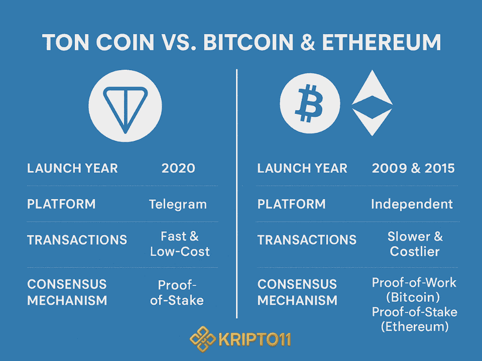 Comparing TON Coin to Popular Cryptos